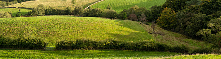 Tenter Hill in Slaidburn